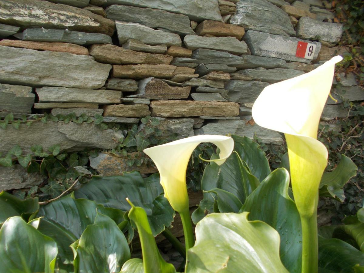 Cyclades Olive Museum'S Guest House Pitrofos Exterior foto